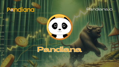 pandiana,-a-meme-utility-token-on-solana,-raises-$500,000-in-a-strategic-pre-seed-round