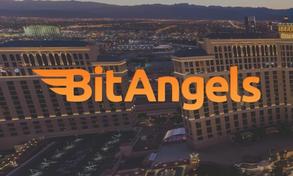 innovation-meets-connection:-the-bitangels-approach-to-empowering-blockchain-entrepreneurs