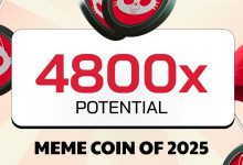 punisher-coin-could-overtake-dogecoin-&-pepe-in-the-next-bull-run-–-here's-the-evidence
