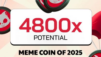 punisher-coin-could-overtake-dogecoin-&-pepe-in-the-next-bull-run-–-here's-the-evidence